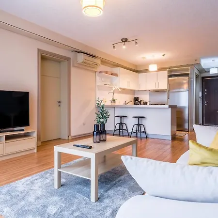 Lejlighed Fully Furnished Spacious In Atasehir