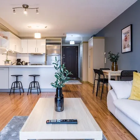 Fully Furnished Spacious In Atasehir *