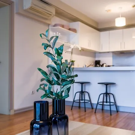 Apartment Fully Furnished Spacious In Atasehir Istanbul